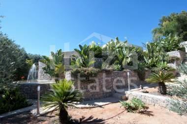 ibiza-estate
