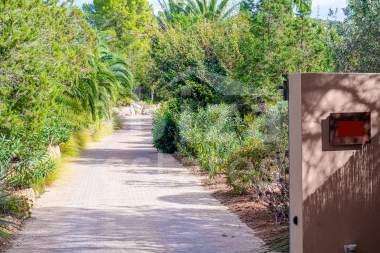 ibiza-estate