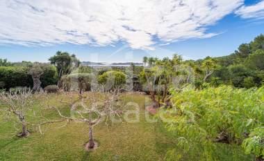ibiza-estate
