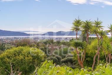 ibiza-estate