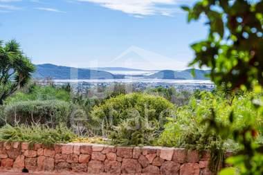 ibiza-estate