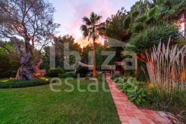 ibiza-estate