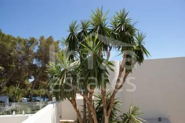 ibiza-estate