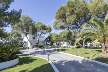 ibiza-estate
