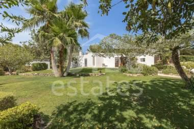 ibiza-estate
