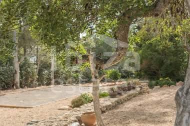 ibiza-estate