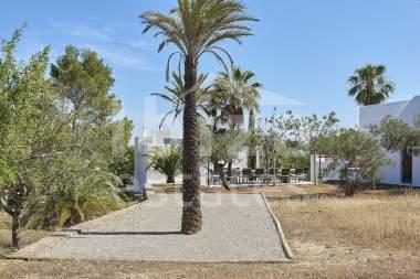 ibiza-estate