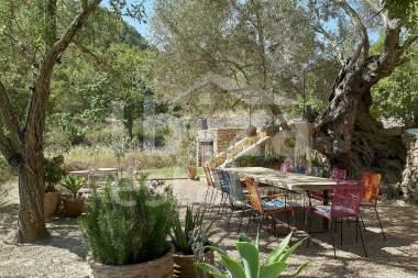 ibiza-estate