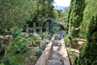 ibiza-estate