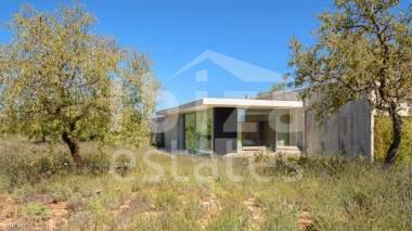 ibiza-estate