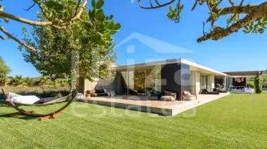 ibiza-estate