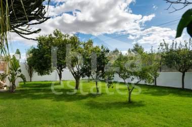 ibiza-estate