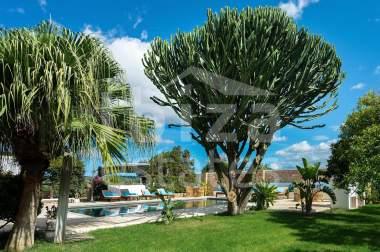 ibiza-estate