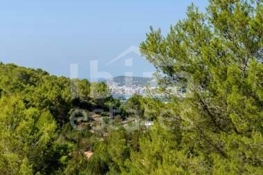 ibiza-estate