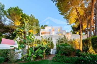 ibiza-estate