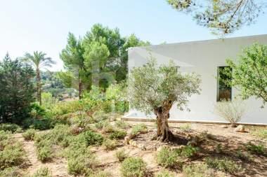 ibiza-estate