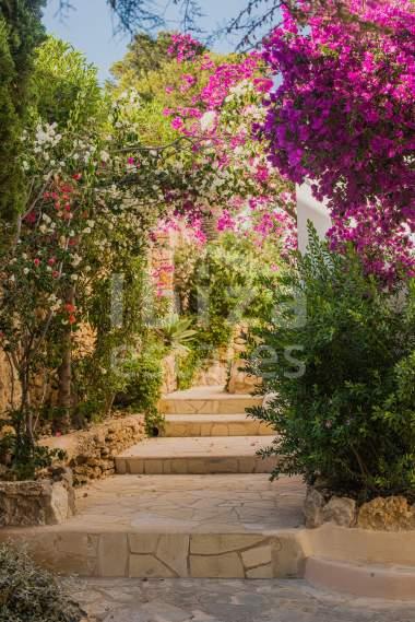 ibiza-estate