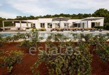 ibiza-estate