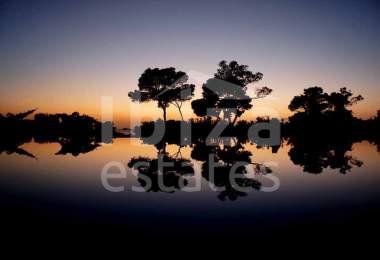 ibiza-estate