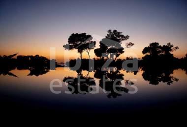 ibiza-estate