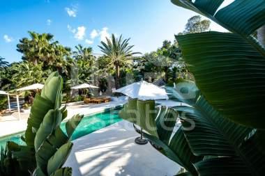 ibiza-estate