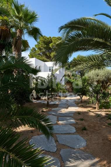 ibiza-estate