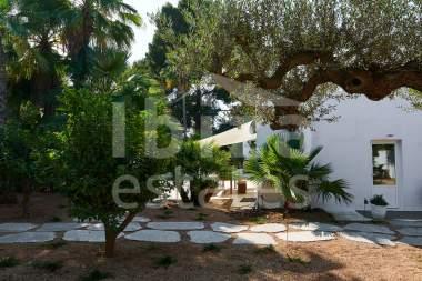 ibiza-estate
