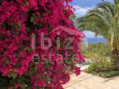 ibiza-estate