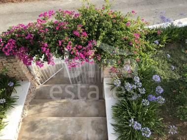 ibiza-estate