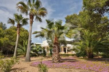 ibiza-estate