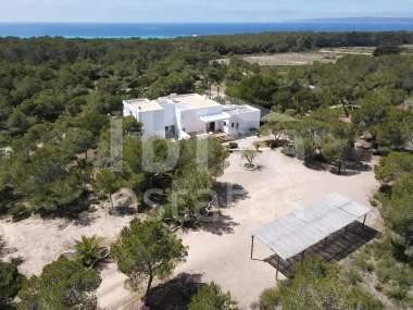 ibiza-estate