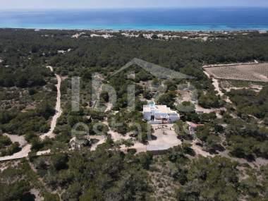 ibiza-estate