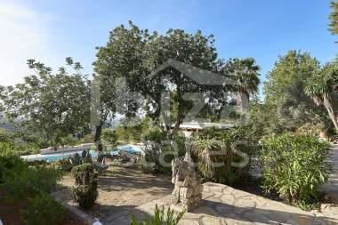 ibiza-estate