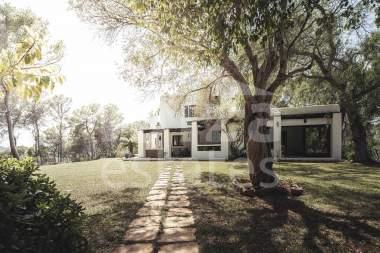 ibiza-estate