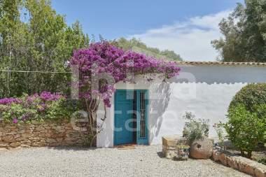 ibiza-estate