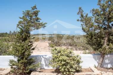 ibiza-estate