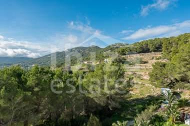 ibiza-estate