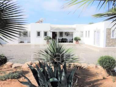 ibiza-estate