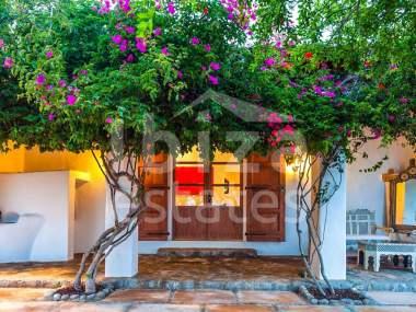 ibiza-estate