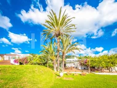 ibiza-estate