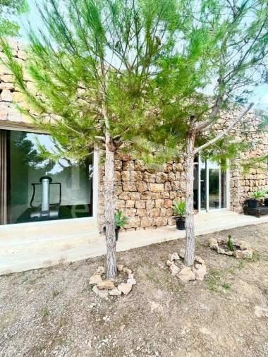 ibiza-estate