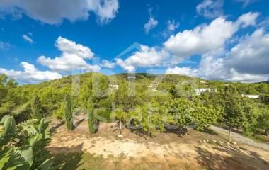 ibiza-estate