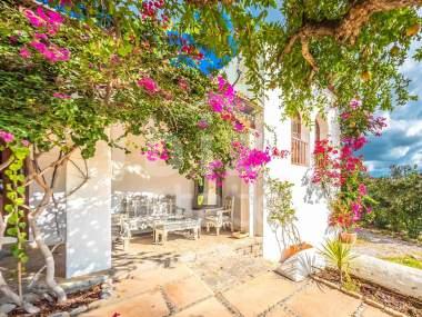 ibiza-estate