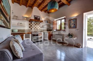 ibiza-estate