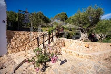 ibiza-estate
