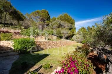 ibiza-estate