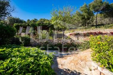 ibiza-estate
