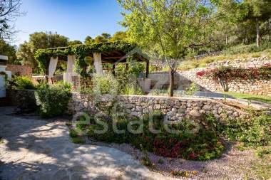 ibiza-estate