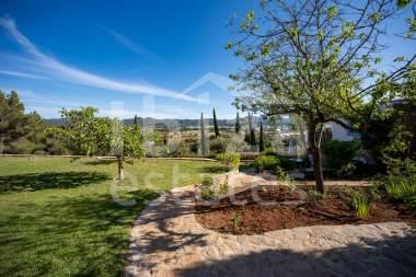 ibiza-estate