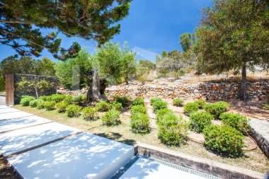 ibiza-estate